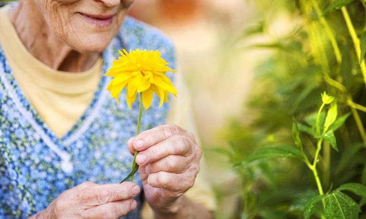 Spring into Wellness: Healthy Living Tips for Seniors